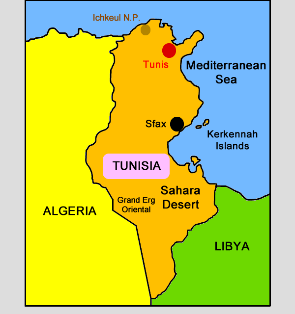 Tunis